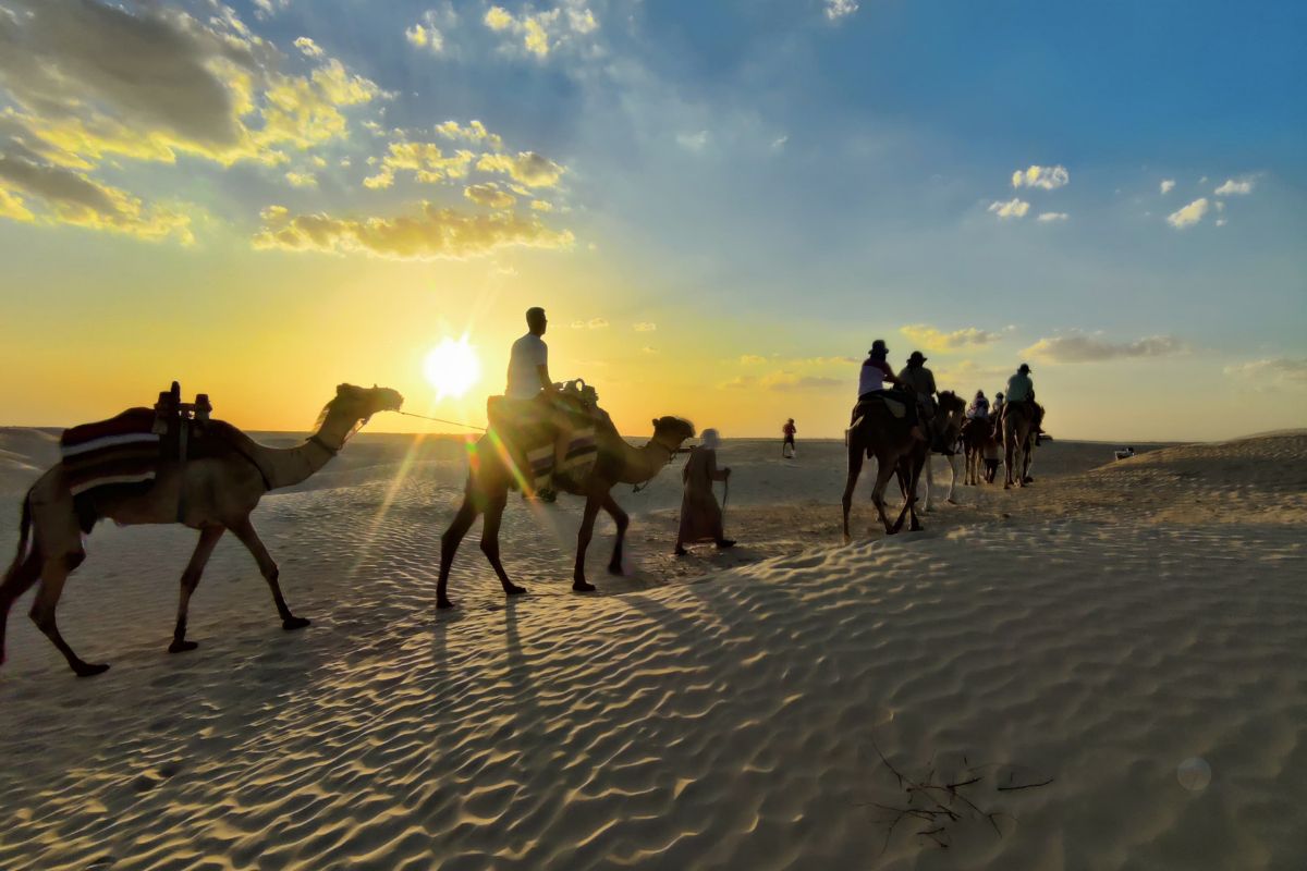 Caravane de dromadaires au lever du soleil dans les dunes du Sahara tunisien
